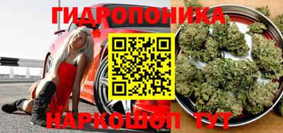 прущий лед Тара
